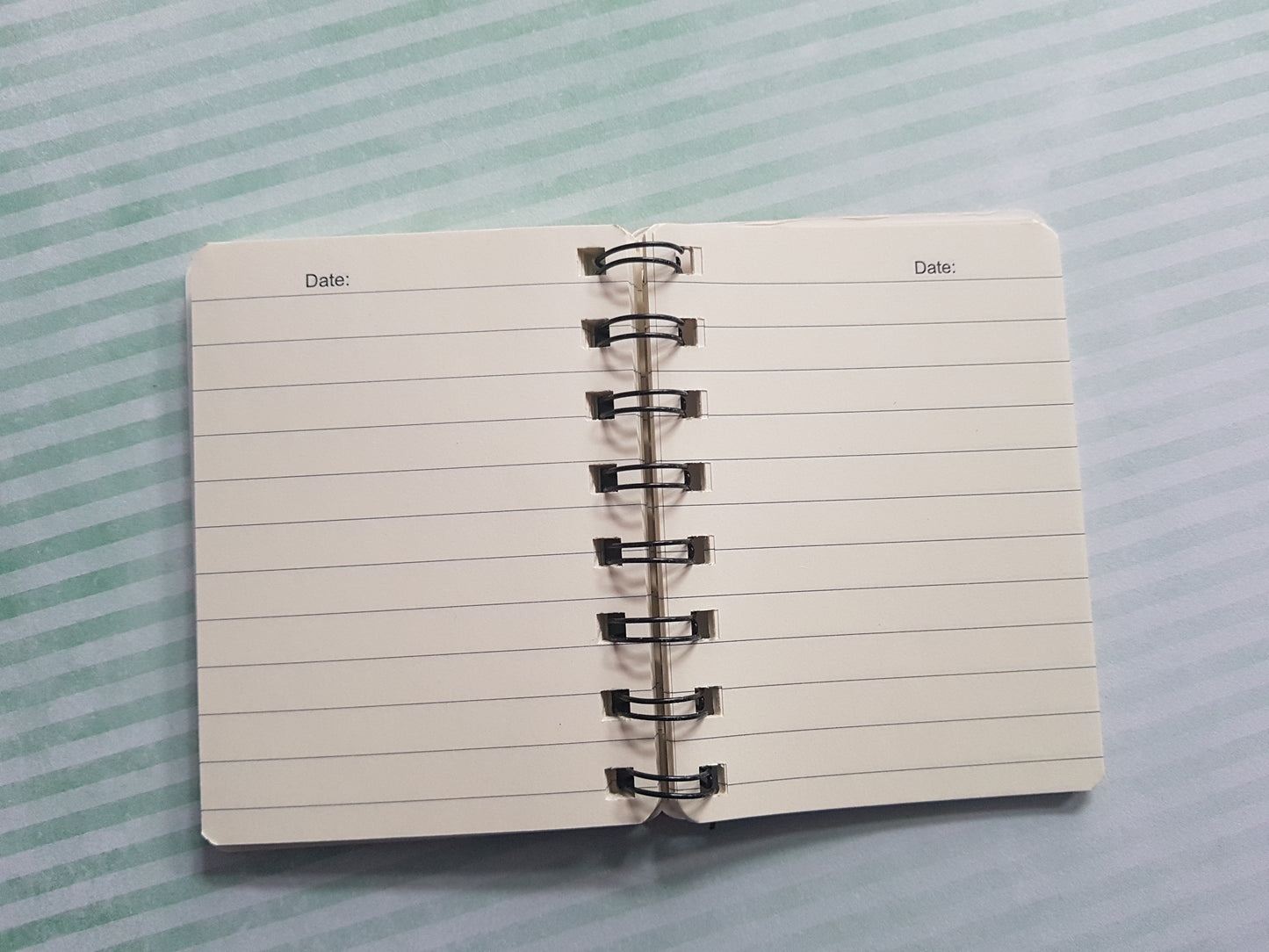 chicken ruled notepad