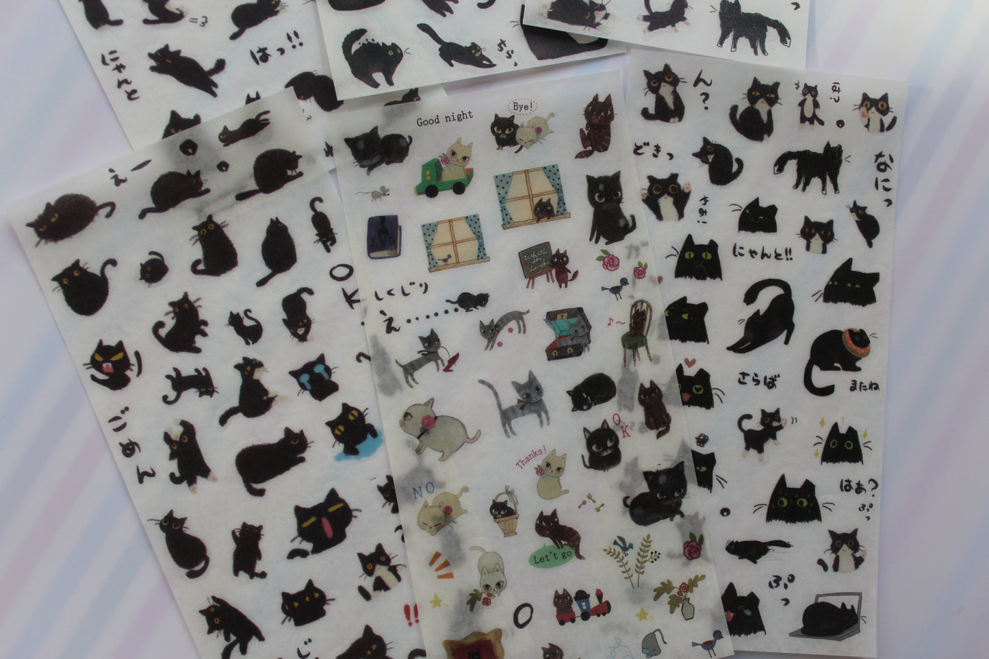 black cats stickers