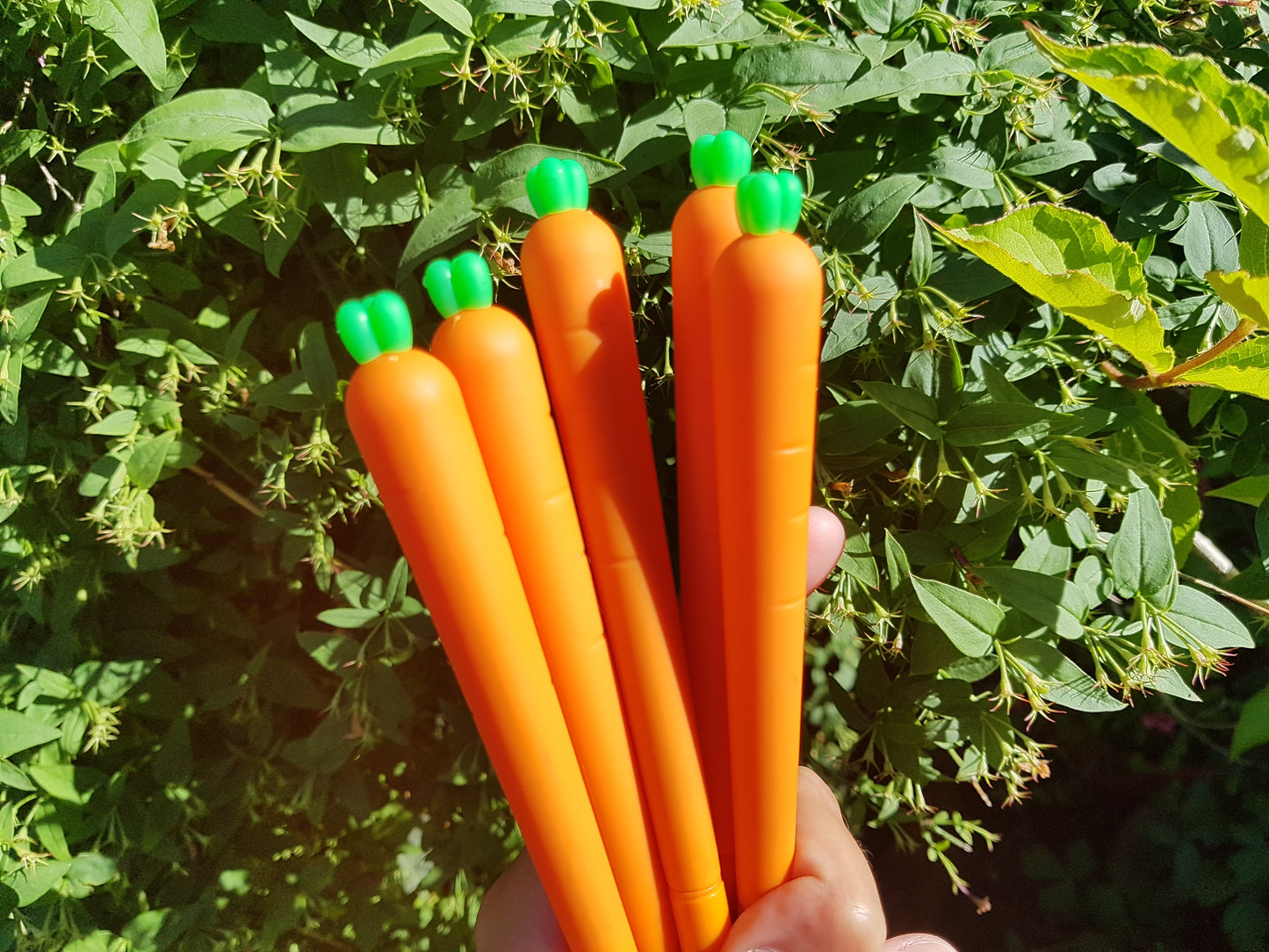 carrot pen