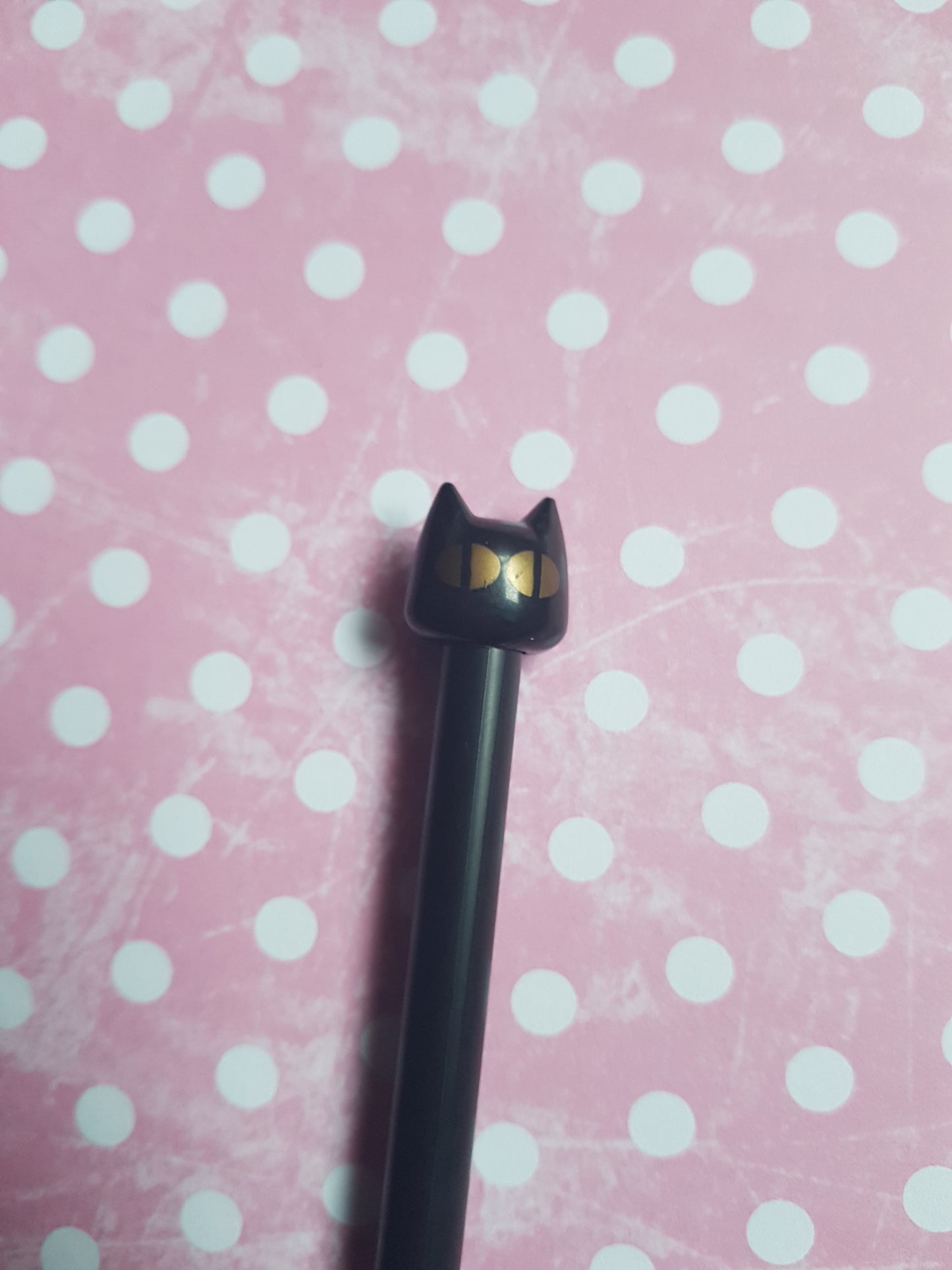 black cat pen