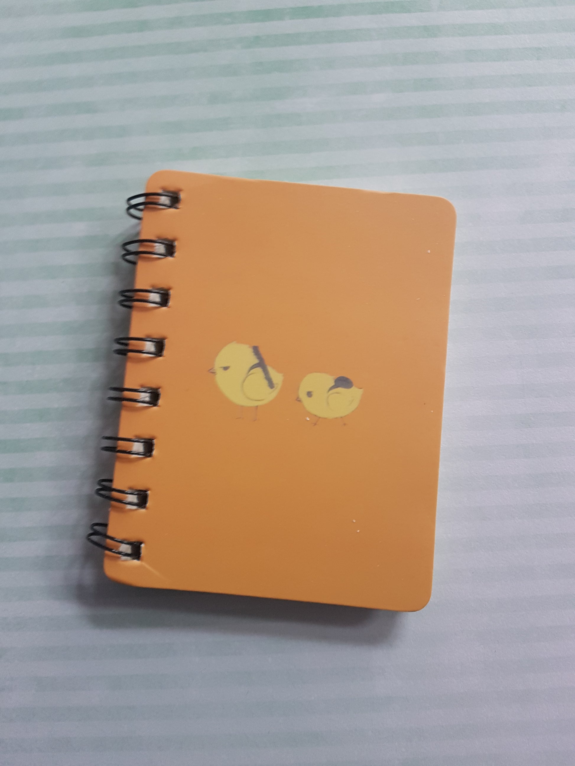 chicken ruled notepad